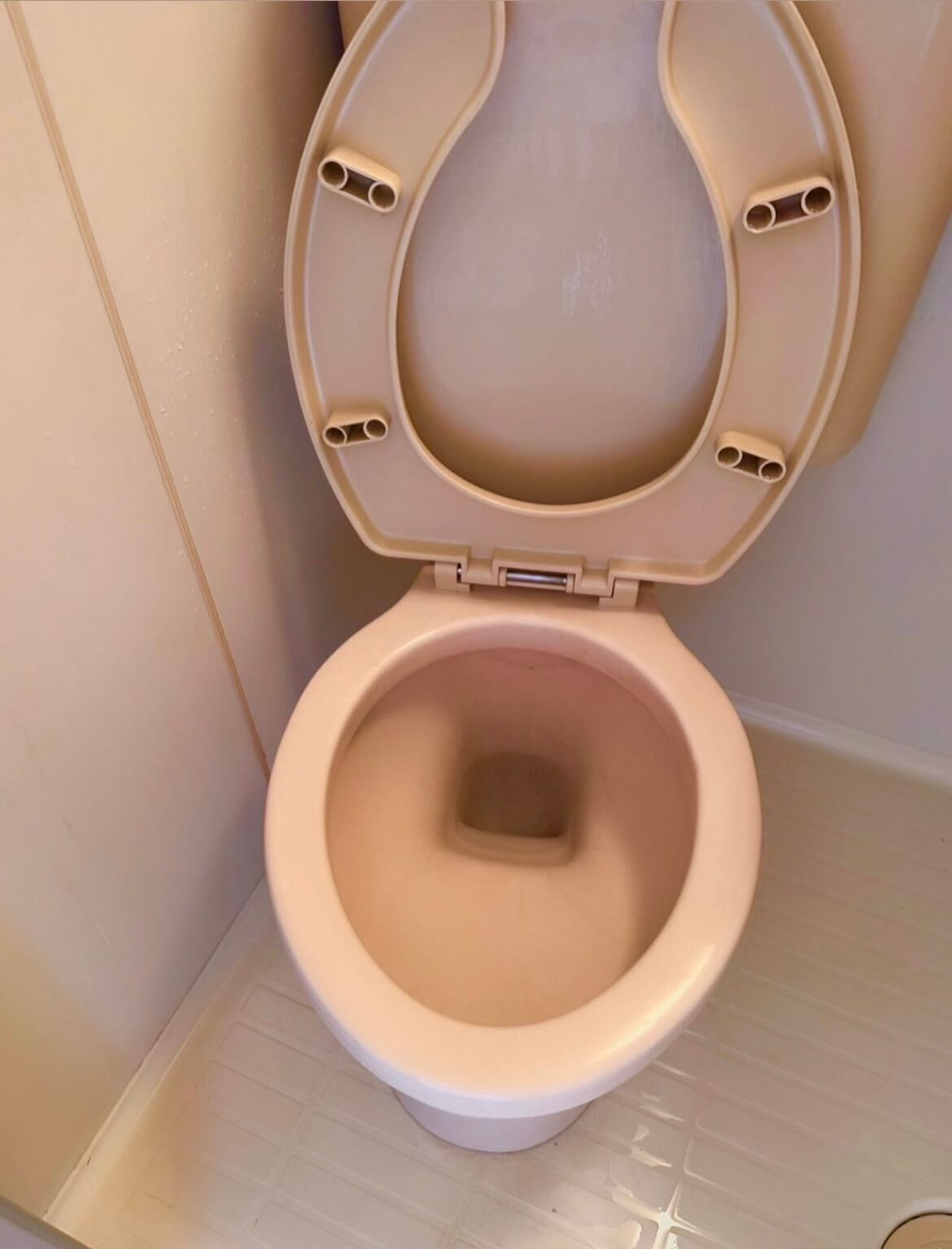 便器清掃