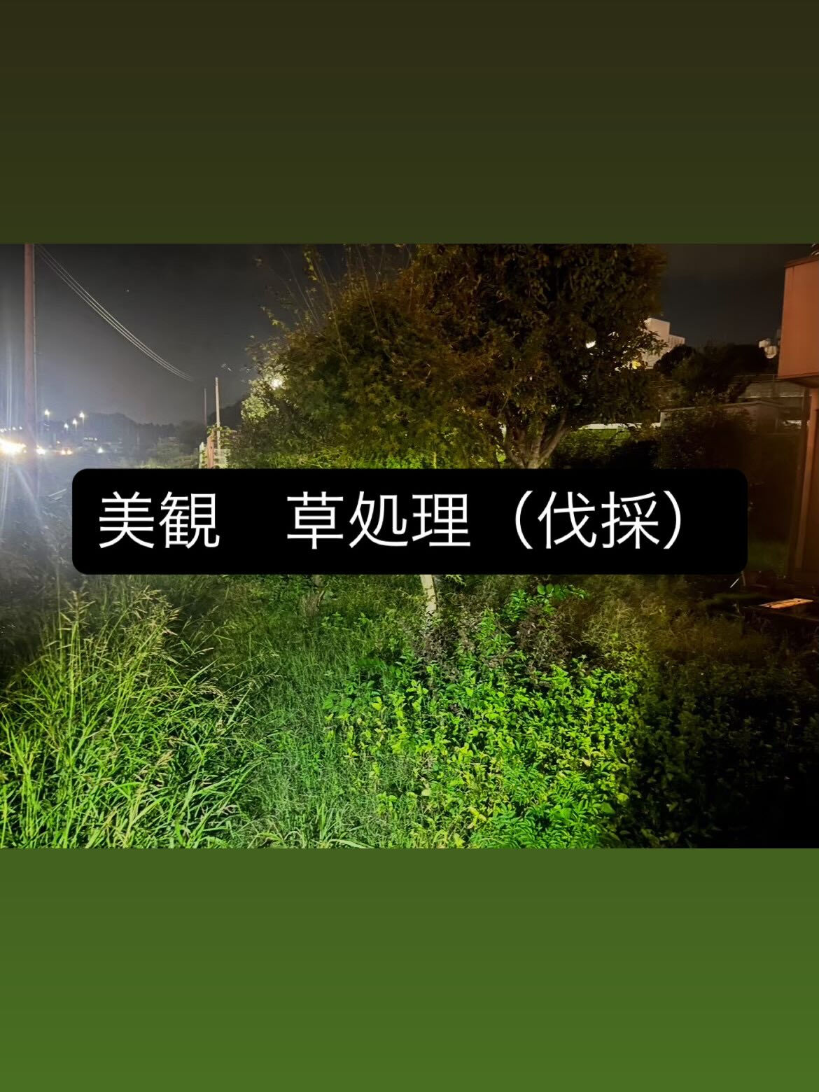 草処理（伐採）