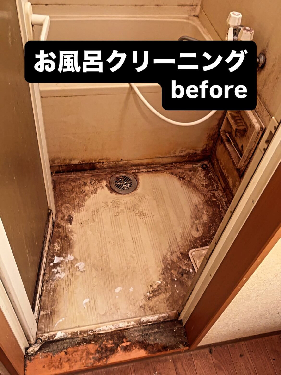 空室清掃　お風呂クリーニング