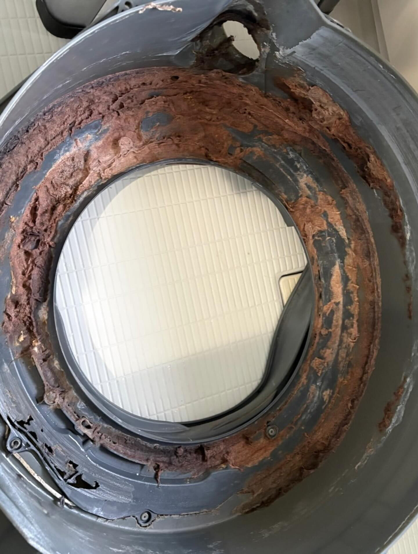 ドラム式洗濯機　洗浄作業