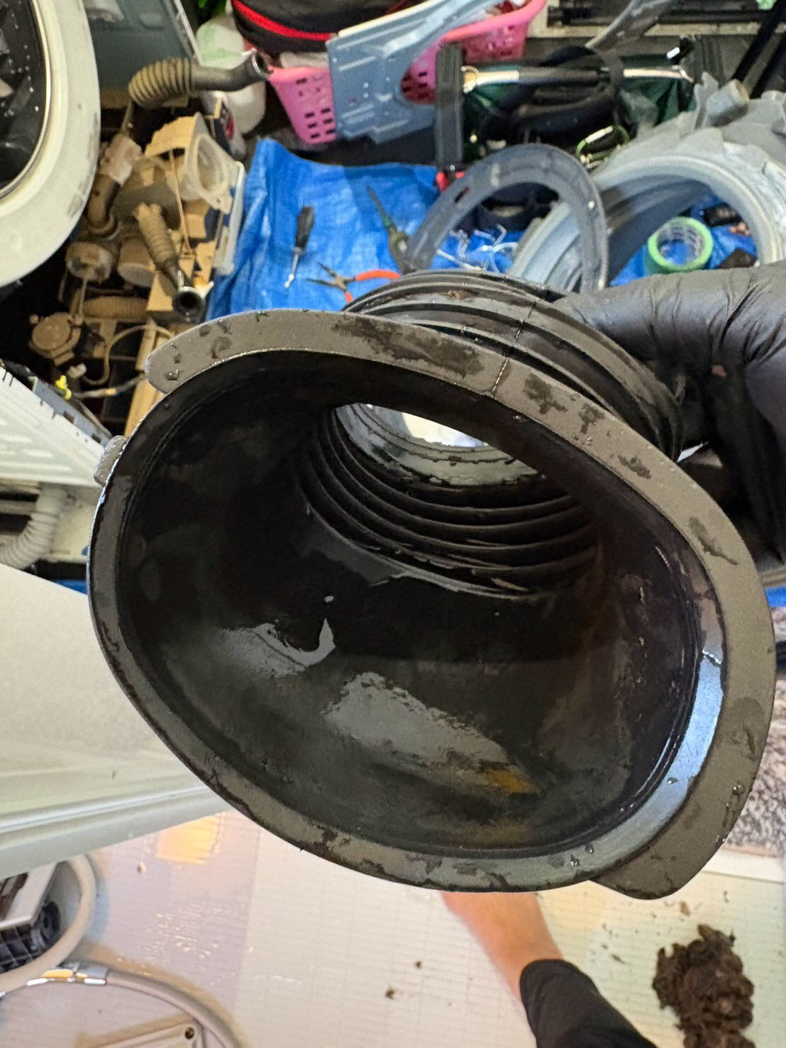 ドラム式洗濯機　洗浄作業