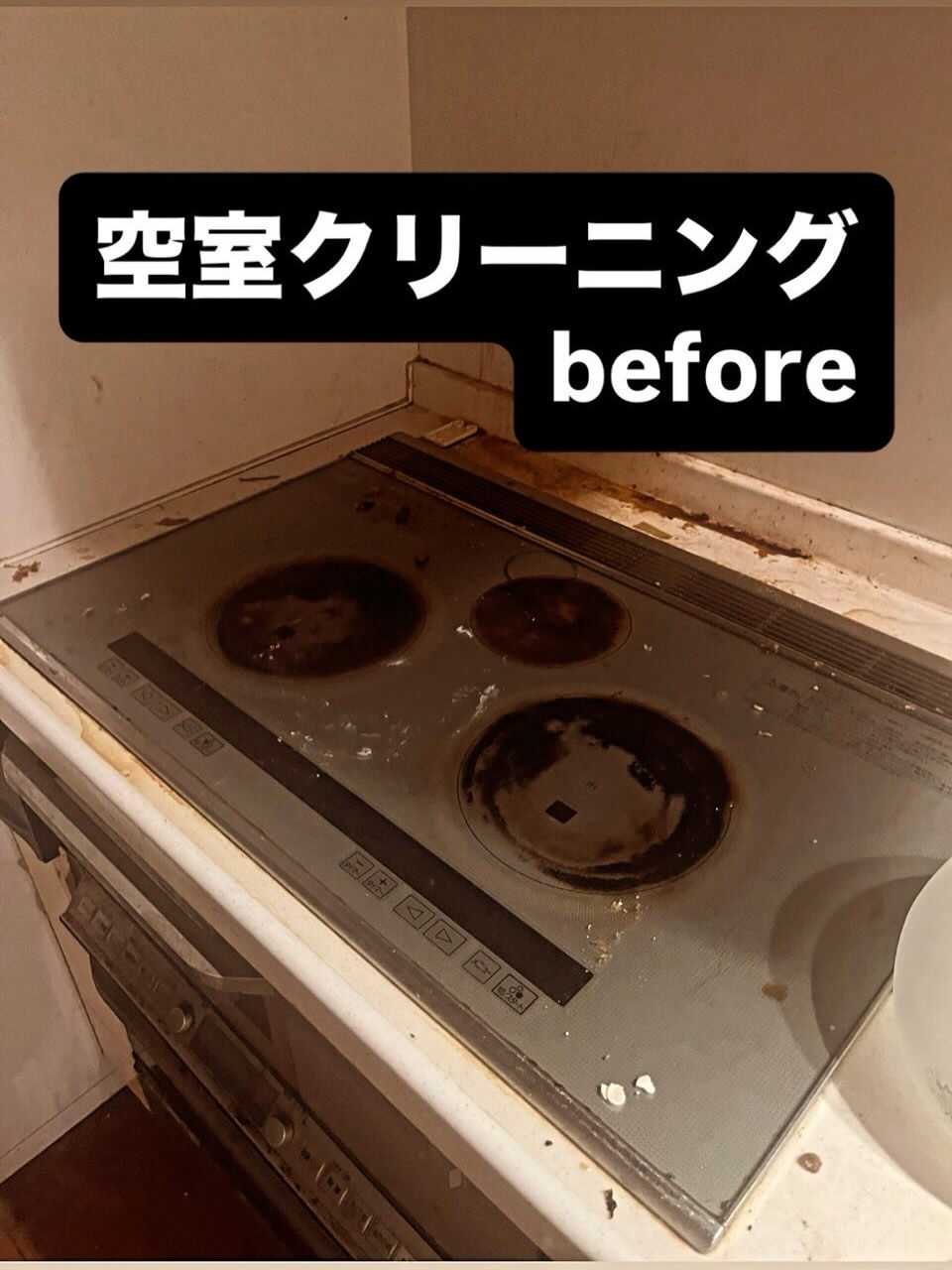 空室清掃　戸建て