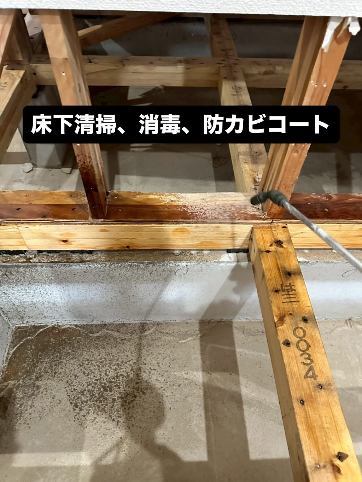 床下清掃　消毒　防カビコート