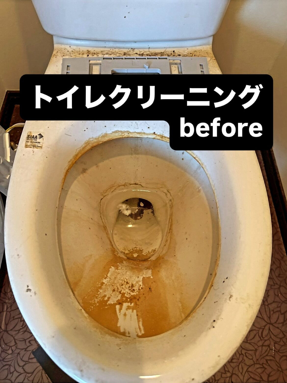 熊本市ハウスクリーニング