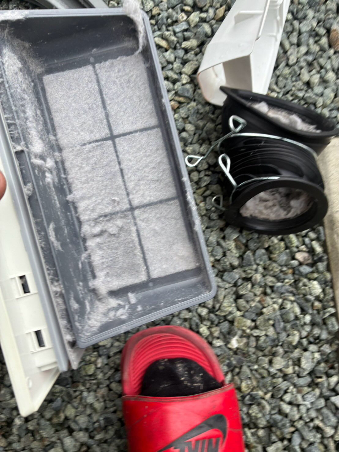 ドラム式洗濯機分解掃除の基礎知識と必要性